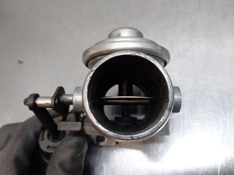 Recambio de valvula egr para volkswagen new beetle (9c1, 1c1) 1.9 tdi referencia OEM IAM 045131501L 038129637 