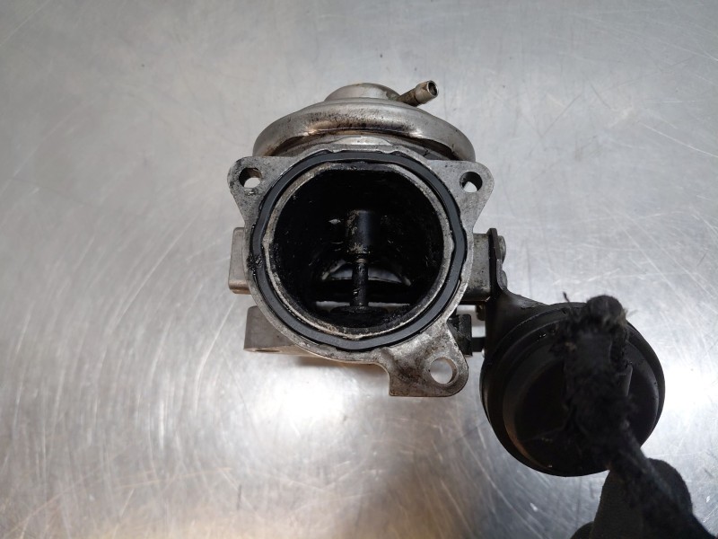 Recambio de valvula egr para volkswagen new beetle (9c1, 1c1) 1.9 tdi referencia OEM IAM 045131501L 038129637 