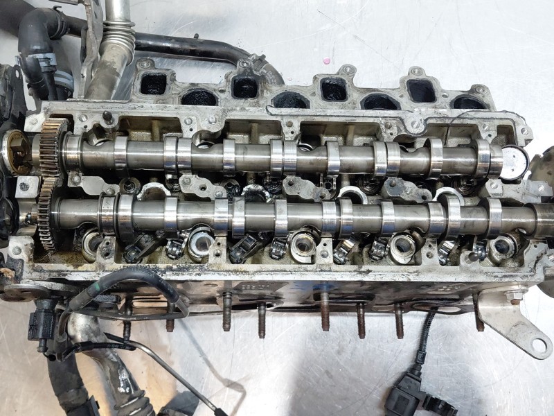 Recambio de culata para seat ibiza iv (6j5, 6p1) 1.6 tdi referencia OEM IAM   