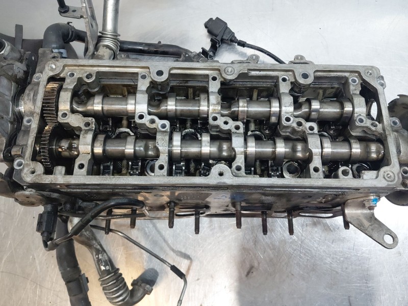 Recambio de culata para seat ibiza iv (6j5, 6p1) 1.6 tdi referencia OEM IAM   