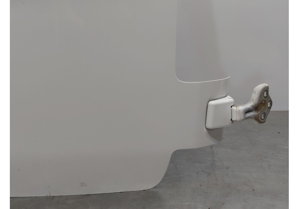 Recambio de puerta trasera derecha para peugeot expert furgoneta (v_) 1.6 bluehdi 115 referencia OEM IAM   