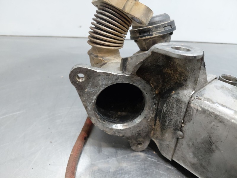 Recambio de enfriador egr para bmw serie 1 lim. (f20) sport referencia OEM IAM 11717810751  