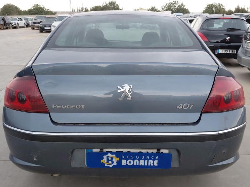 peugeot 407 (6d_) del año 2004