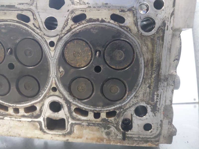 Recambio de culata para ssangyong rodius xdi referencia OEM IAM   