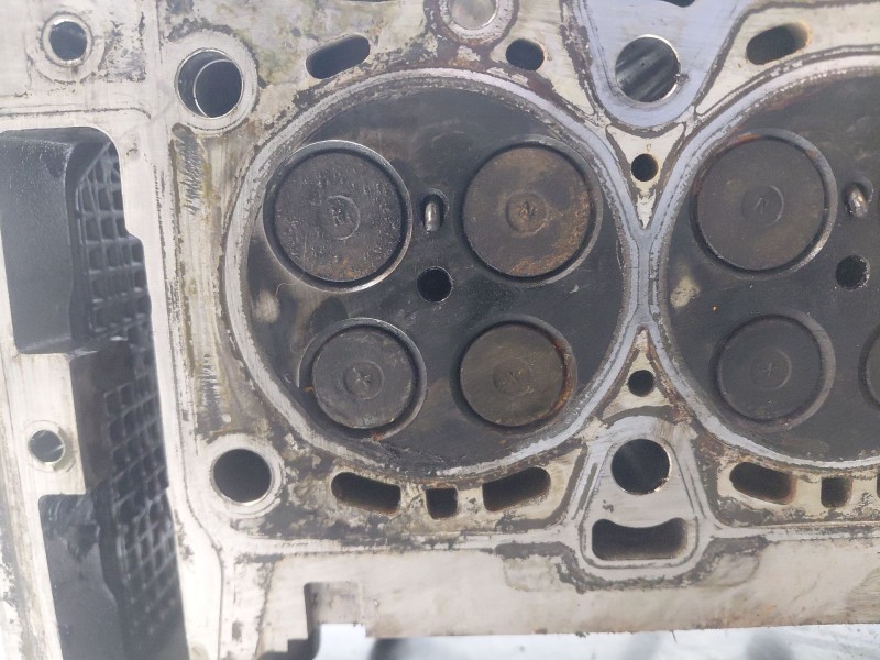 Recambio de culata para ssangyong rodius xdi referencia OEM IAM   