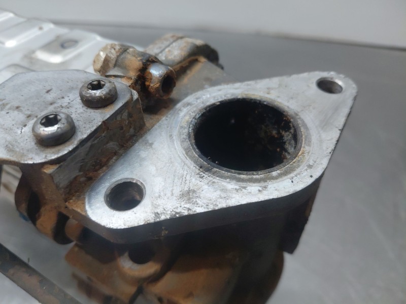 Recambio de enfriador egr para ssangyong rodius xdi referencia OEM IAM   