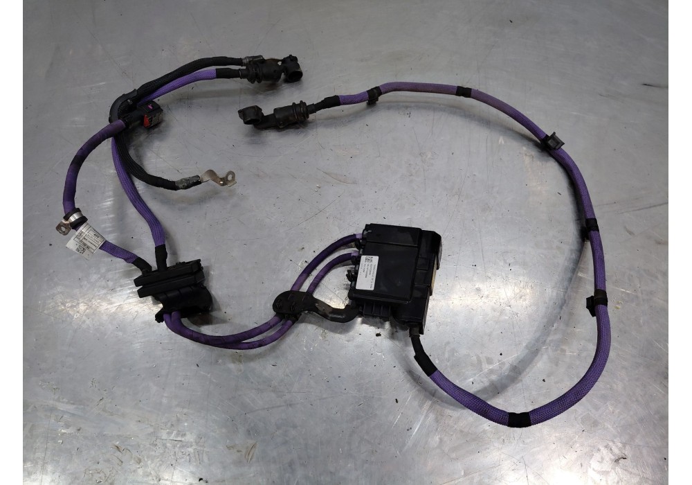 Recambio de cable positivo bateria - borne positivo para bmw 3 touring (g21, g81) 318 d referencia OEM IAM   
