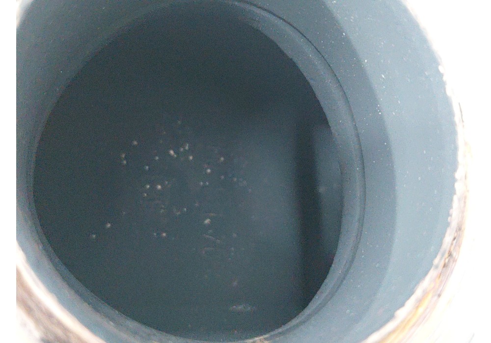 Recambio de filtro de particulas para volkswagen polo v (6r1, 6c1) 1.6 tdi referencia OEM IAM   