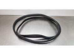 Recambio de gomas contorno puerta para dacia lodgy comfort referencia OEM IAM 808329324R