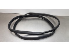 Recambio de gomas contorno puerta para dacia lodgy comfort referencia OEM IAM 808329324R   2