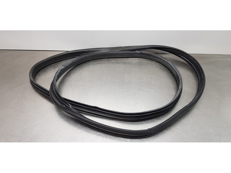 Recambio de gomas contorno puerta para dacia lodgy comfort referencia OEM IAM 808329324R  