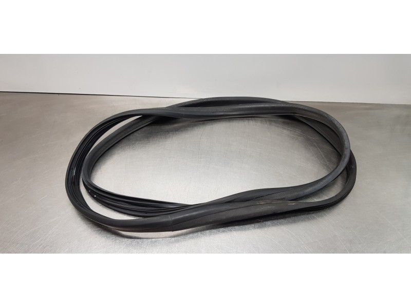 Recambio de gomas contorno puerta para dacia lodgy comfort referencia OEM IAM 769230599R  