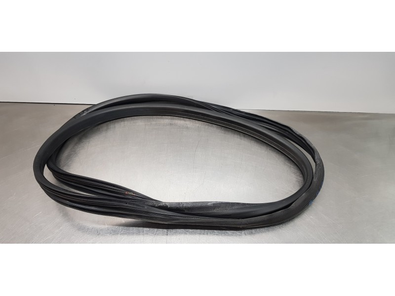 Recambio de gomas contorno puerta para dacia lodgy comfort referencia OEM IAM 769230599R  