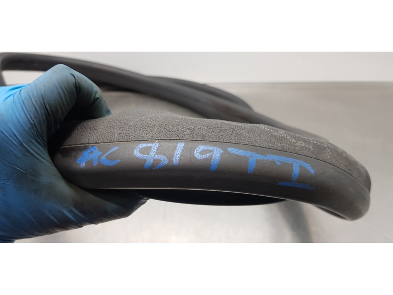 Recambio de gomas contorno puerta para dacia lodgy comfort referencia OEM IAM 769230599R  