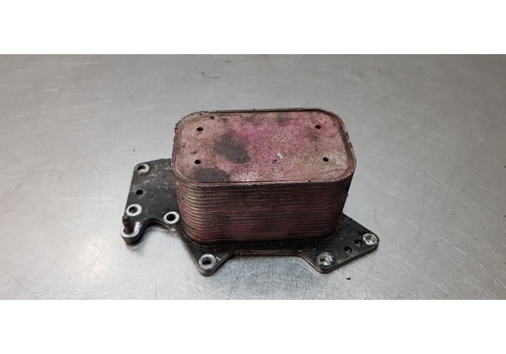 Recambio de enfriador aceite motor para audi a5 coupe (8t) 2.7 tdi referencia OEM IAM 059117021K  