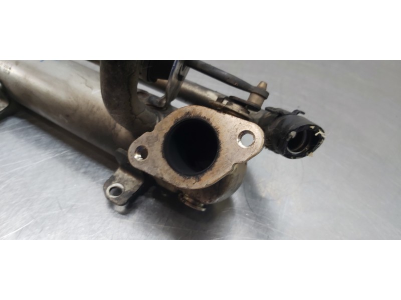 Recambio de enfriador egr para seat ibiza (6j5) reference referencia OEM IAM 03G131512AA   Recambio de enfriador egr para seat ibiza (6j5) reference referencia OEM IAM 03G131512AA