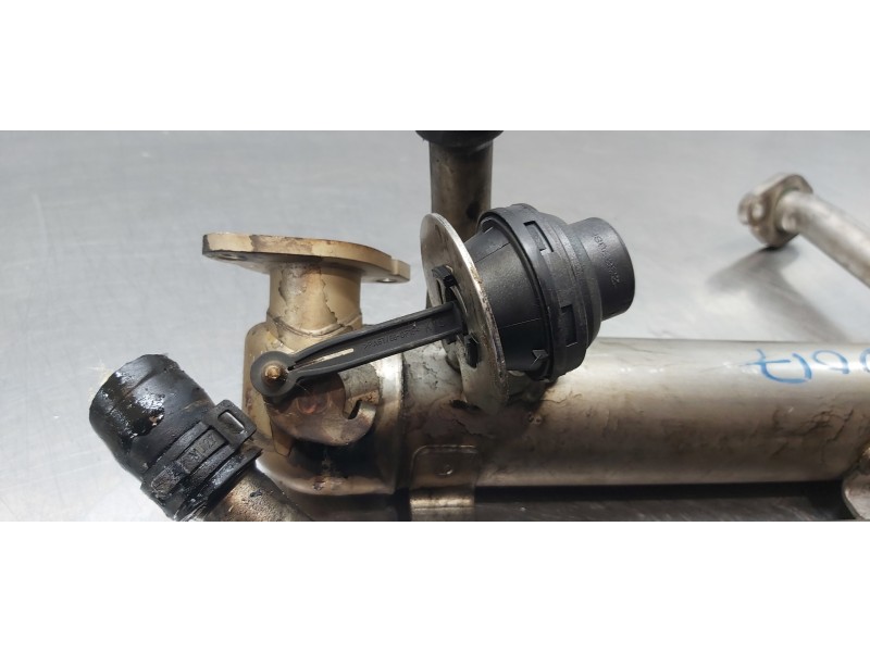 Recambio de enfriador egr para seat ibiza (6j5) reference referencia OEM IAM 03G131512AA   Recambio de enfriador egr para seat ibiza (6j5) reference referencia OEM IAM 03G131512AA