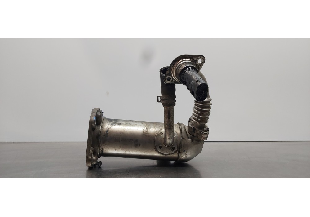 Recambio de enfriador egr para ford transit kastenwagen (ttg) 350 l2 ambiente referencia OEM IAM 2283246  