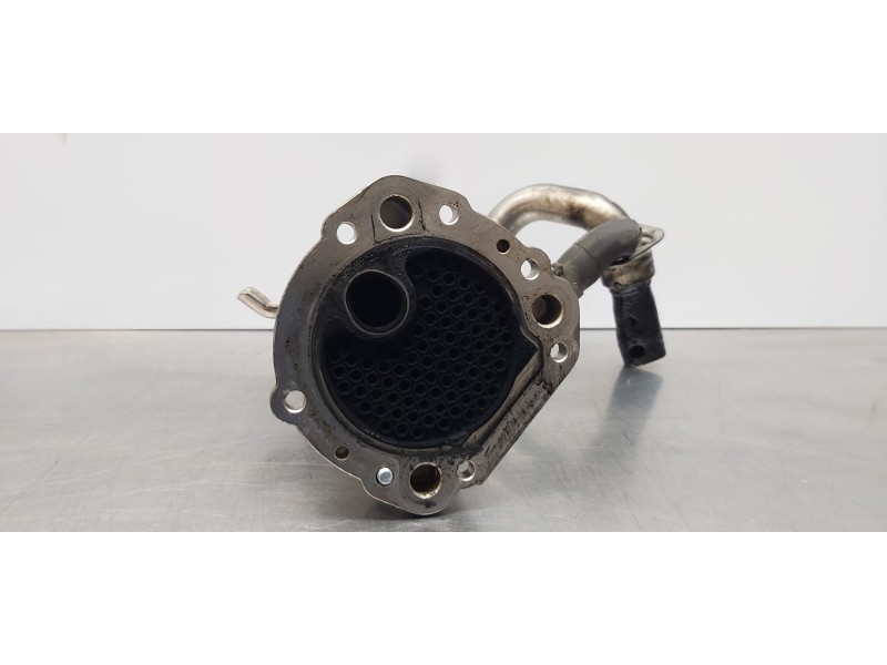 Recambio de enfriador egr para ford transit kastenwagen (ttg) 350 l2 ambiente referencia OEM IAM 2283246  
