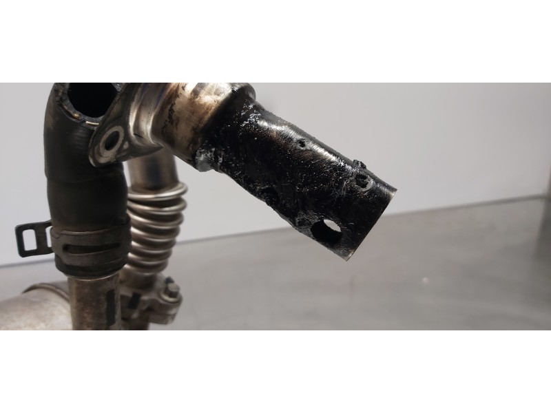 Recambio de enfriador egr para ford transit kastenwagen (ttg) 350 l2 ambiente referencia OEM IAM 2283246  