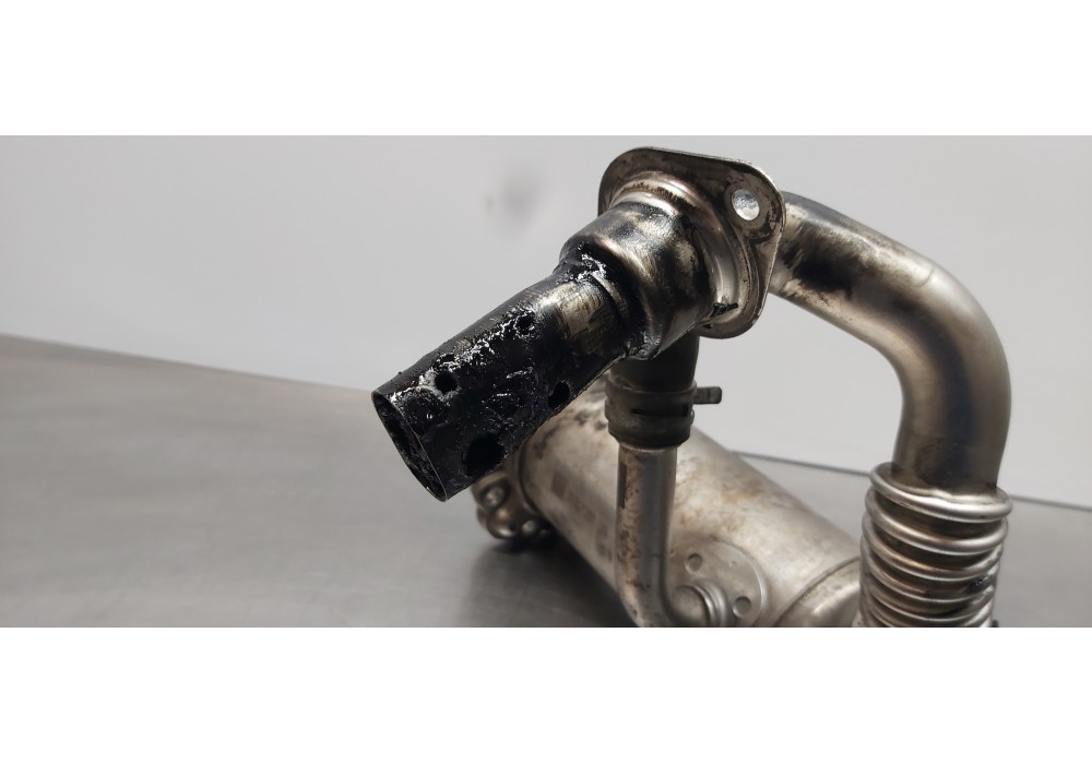 Recambio de enfriador egr para ford transit kastenwagen (ttg) 350 l2 ambiente referencia OEM IAM 2283246  