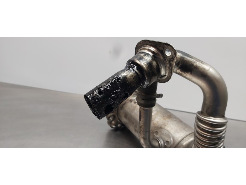 Recambio de enfriador egr para ford transit kastenwagen (ttg) 350 l2 ambiente referencia OEM IAM 2283246  