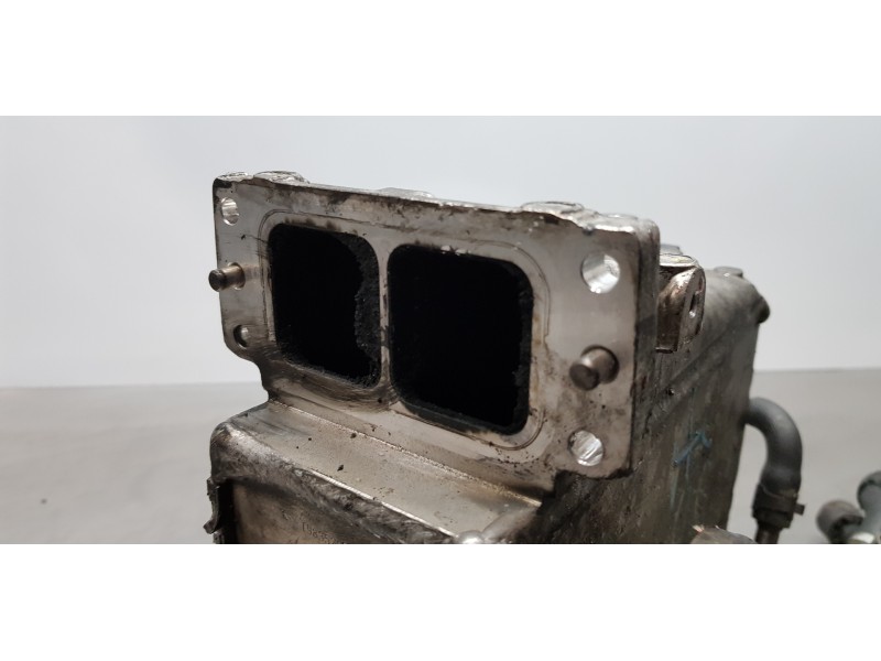 Recambio de intercooler para skoda octavia combi (5e5) active referencia OEM IAM 04L129711R  