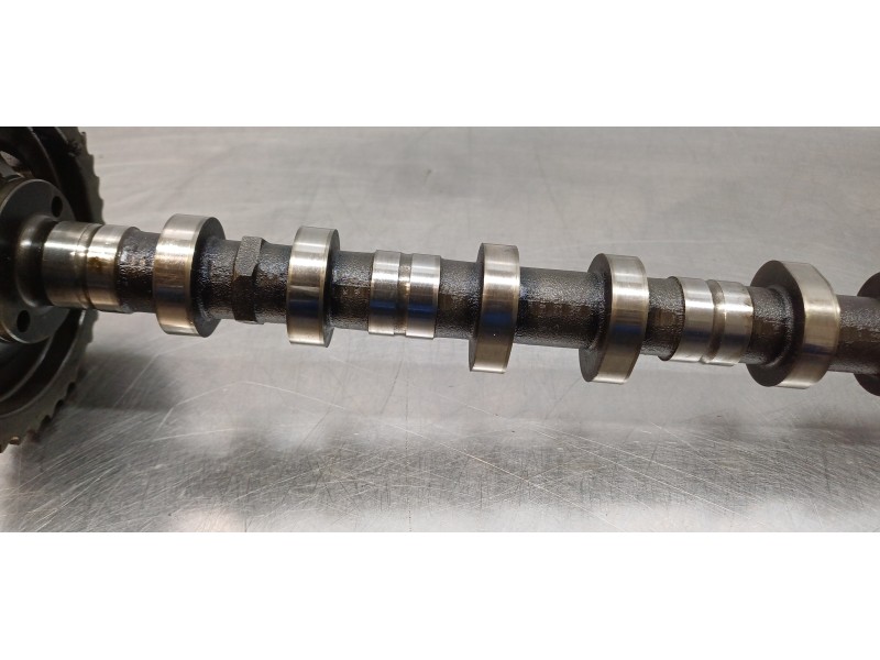 Recambio de arbol de levas para ssangyong rodius xdi referencia OEM IAM 6650500601  