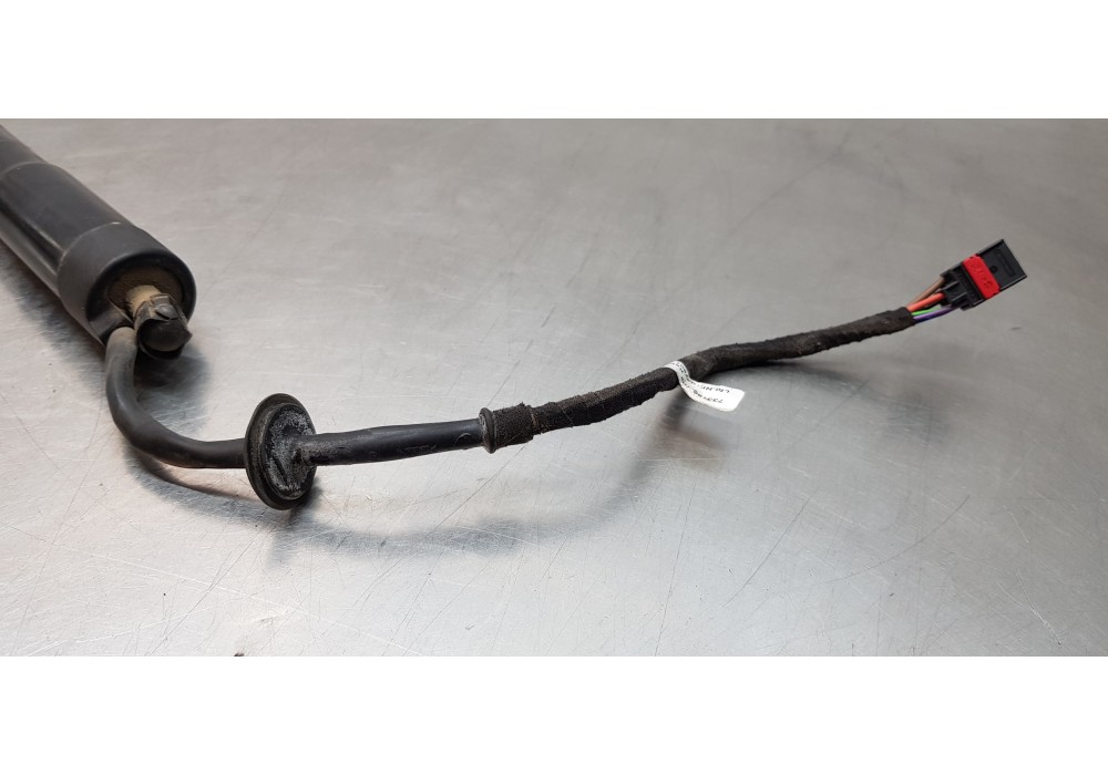 Recambio de amortiguadores maletero / porton para ford grand c-max titanium referencia OEM IAM 2359184   Recambio de amortiguadores maletero / porton para ford grand c-max titanium referencia OEM IAM 2359184