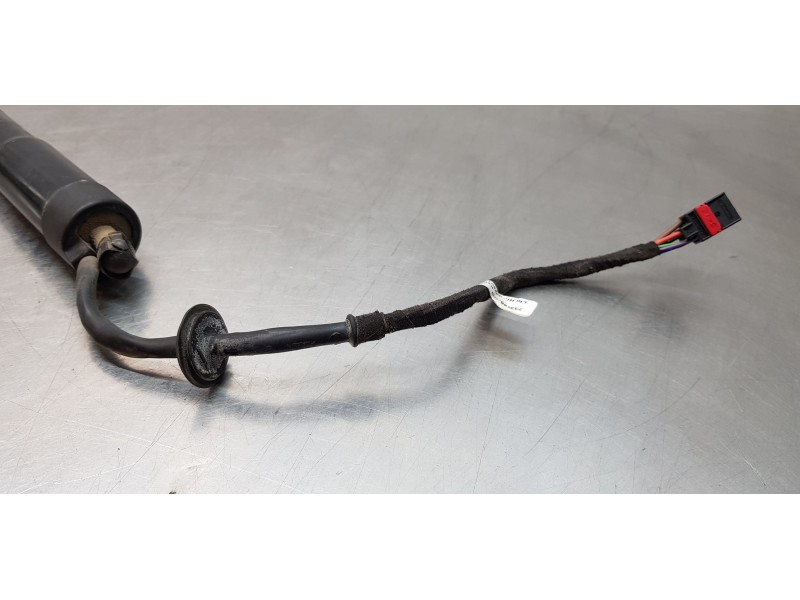 Recambio de amortiguadores maletero / porton para ford grand c-max titanium referencia OEM IAM 2359184   Recambio de amortiguadores maletero / porton para ford grand c-max titanium referencia OEM IAM 2359184